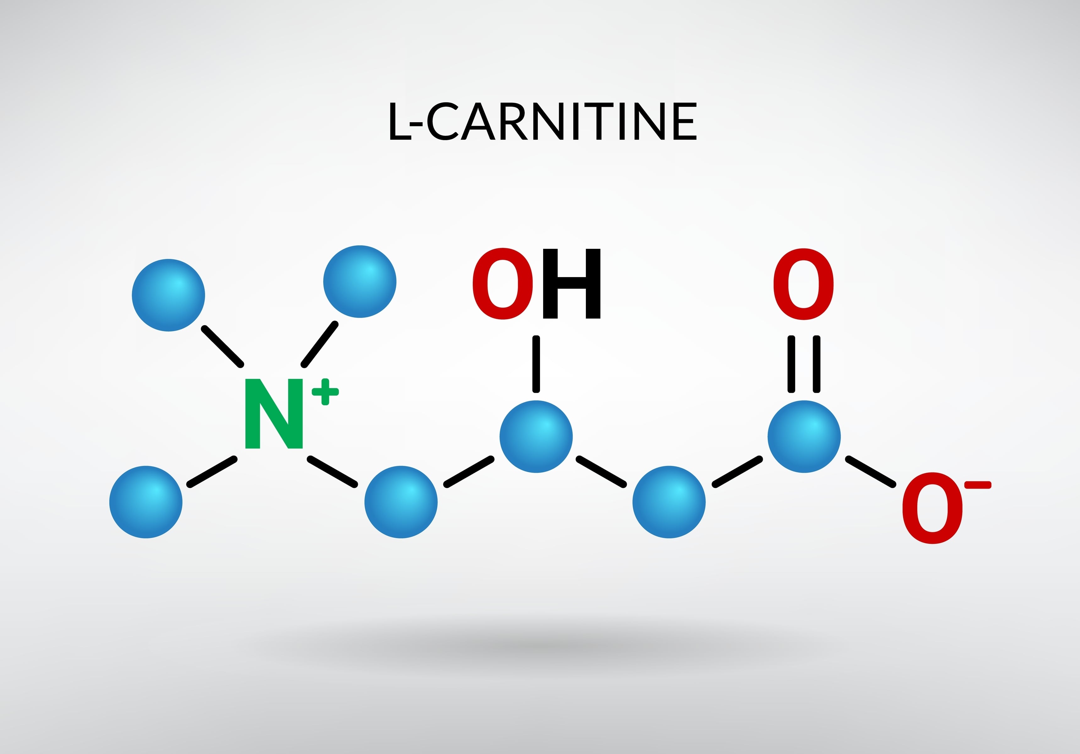 l'carnitine zararları L Karnitin (LC) Nedir? L Karnitin Ne İşe Yarar? Size:20ML Biceps Tendon Tear at chiorella